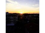 Ibis S.r.l.