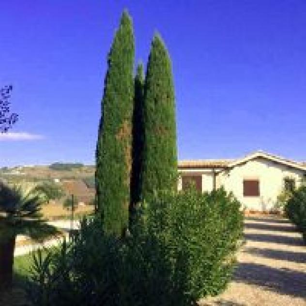 Scorcio sul Mare - Foto 2