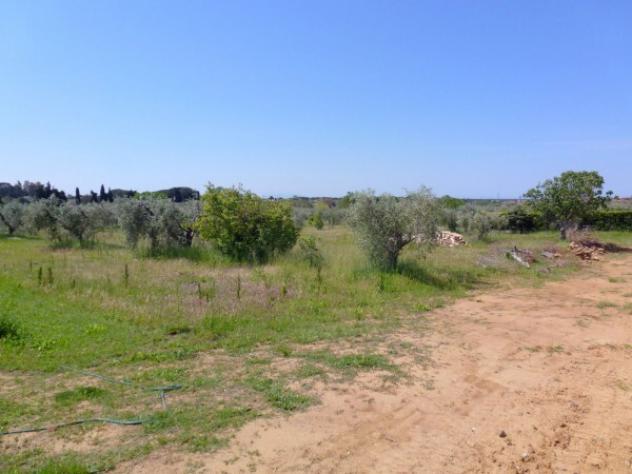 Terreno edificabile in vendita a Cecina - Foto 3