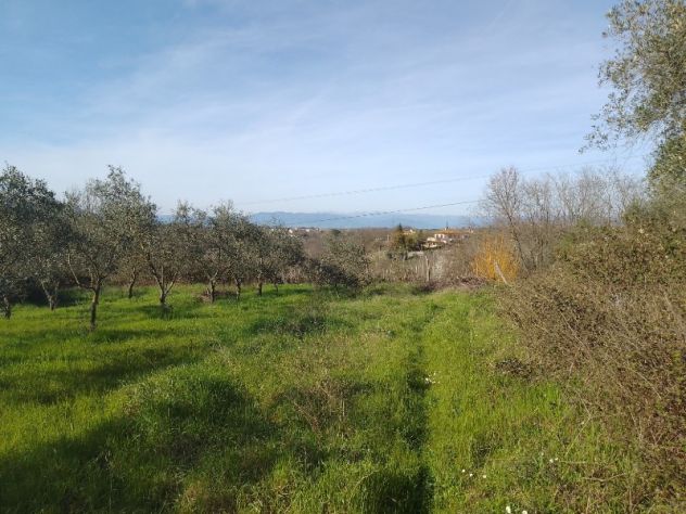 Terreno agricolo a Montecalvoli ( PI ) - Foto 9