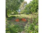 Terreni A Valverde Agricoli ed Edificabili