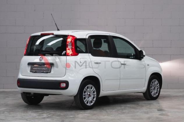 FIAT Panda 1.2 EASY 70 CV SOLO 21.300 KM PARI AL NUOVO rif. 23504282 - Foto 4