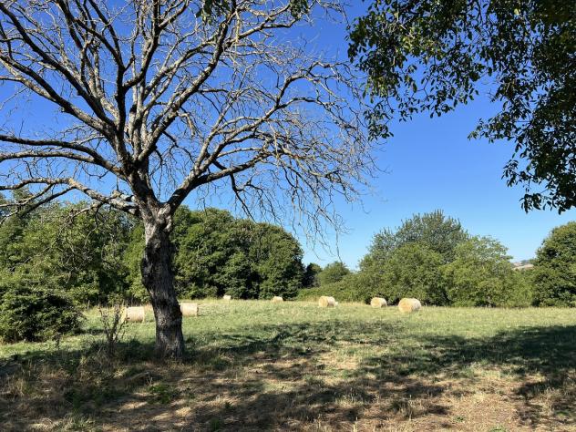 Terreno Agricolo - Fiuggi . Rif.: Cod. rif 3248945VCG - Foto 10