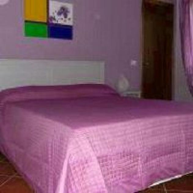 B&B La Casa Gialla