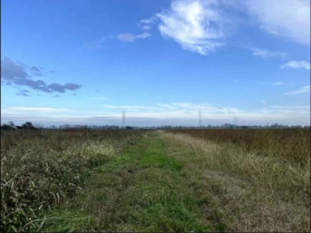 Immobile in asta di 110107 m² in vendita a Adria - Foto 6