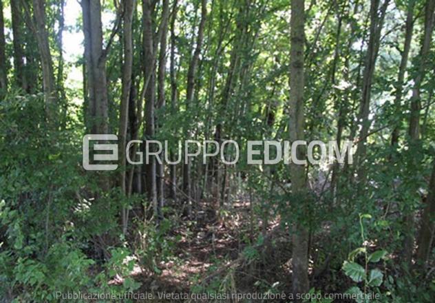 Terreno in vendita a Cava Manara - Rif. 4545605 - Foto 2