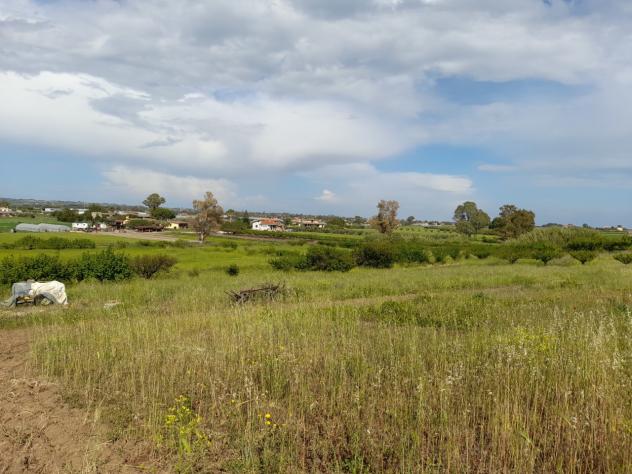 Seminativo in vendita a Ladispoli - Foto 4