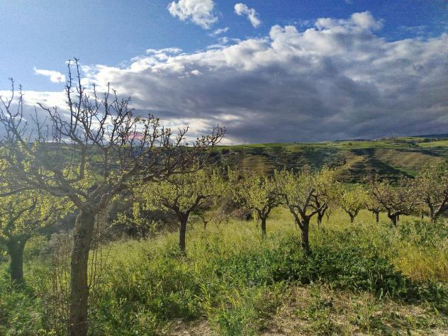 Terreno in vendita a Palazzolo Acreide - Foto 4