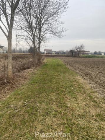 Terreno a Sant'Angelo di Piove di Sacco - Rif. SPDS16 - Foto 5