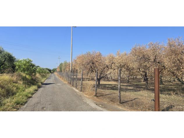Agricolo in Via Cinelli