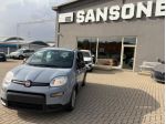 FIAT Panda 3ª serie Panda 1.0 FireFly S&S Hybrid