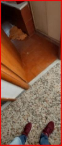 Immobile in asta di 96 m² in vendita a Ladispoli - Foto 9