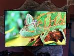Tv samsung 75 pollici led hdr GARANZIA