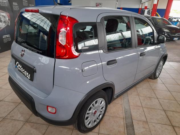 Fiat Panda 1.0 FireFly S&S Hybrid - Foto 6