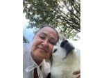 Pet sitter a Merano - gatti e canni piccoli