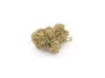 Amnesia Haze Campionatura