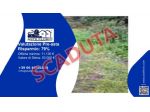 Immobile in asta di 1 m² in vendita a Forio