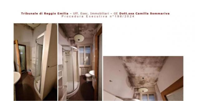 Immobile in asta di 1355 m² in vendita a Novellara - Foto 8