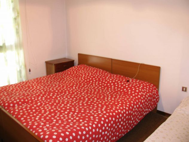 AFFITTO APPARTAMENTO PER VACANZA LUGLIO AGOSTO IN VAL DI RABBI (TN) - Foto 8