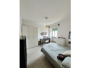 Stanza/Posto Letto in affitto a Pisa 90 mq Rif: 1133291