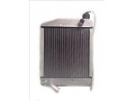 RADIATORE ACQUA MICROCAR LYRA VIRGO MC1 MC2 AIXAM MOTORE LOMBARDINI