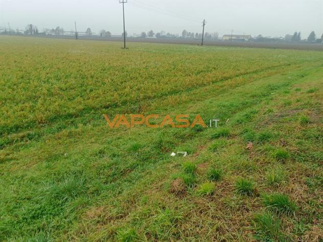 TERRENO AGRIOLO PIANEGGIANTE CON ACCESSO DIRETTO - Foto 7