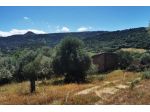 Terreno di 14000 m² in vendita a Loceri [rif. DV-12767]