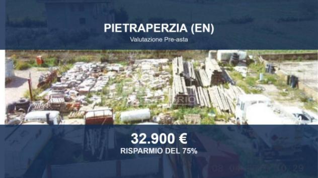 Immobile in asta di 5576 m² in vendita a Pietraperzia
