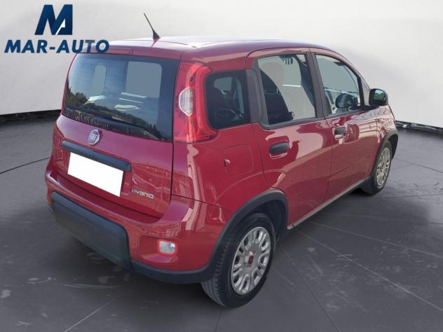 FIAT Panda Panda 1.0 firefly hybrid s&s 70cv - Foto 3