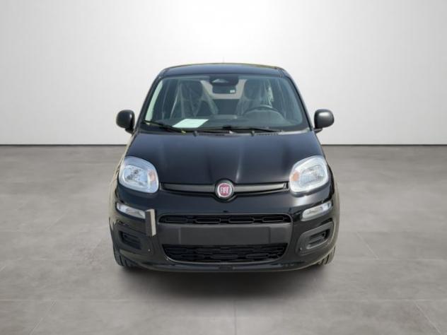 FIAT Pandina 1.0 FireFly 65 CV Hybrid Icon rif. 24167601 - Foto 2