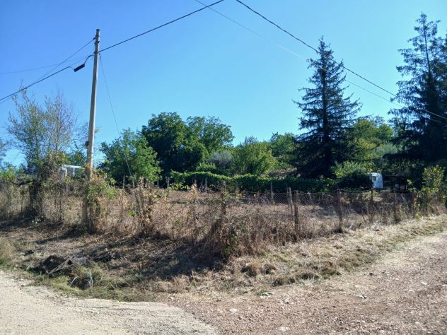 Terreno Agricolo 3000mq Arci (Tivoli) - Foto 5