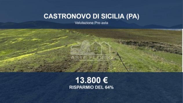 Immobile in asta di 31288 m² in vendita a Castronovo di Sicilia