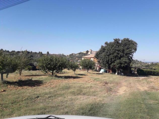 Terreno agricolo in vendita a Manciano 210000 mq Rif: 1190900