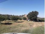 Terreno agricolo in vendita a Manciano 210000 mq  Rif: 1190900