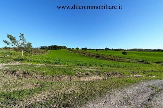 Casale in vendita a Pesaro - Foto 9