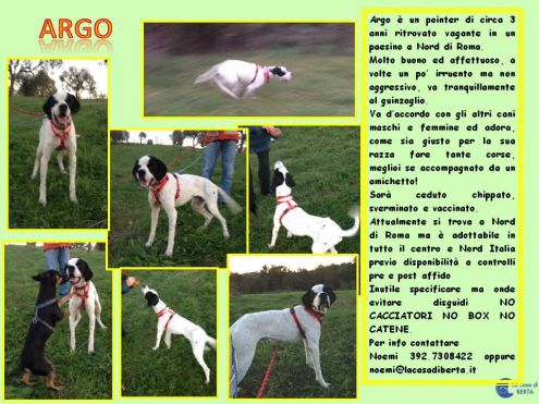 ARGO, ILENIA, ILARIA E LUCKY - Foto 2
