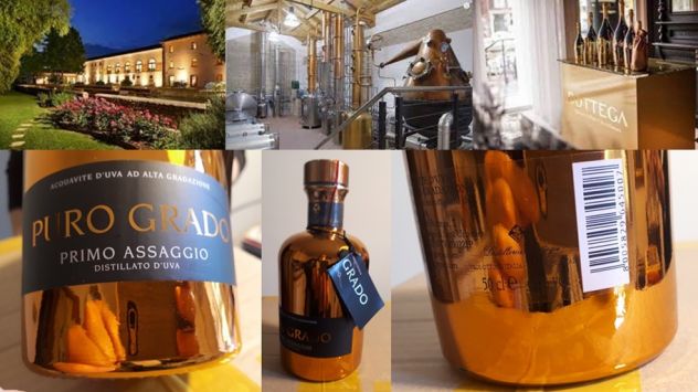 GRAPPA PURO GRADO DISTILLERIA BOTTEGA.
