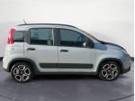 FIAT Panda Panda 1.0  hybrid City Life (PREZZO REALE)
