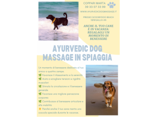 Massaggi - benessere Senigallia - Ayurvedic Dog Massage in spiaggia Tel:3933073399