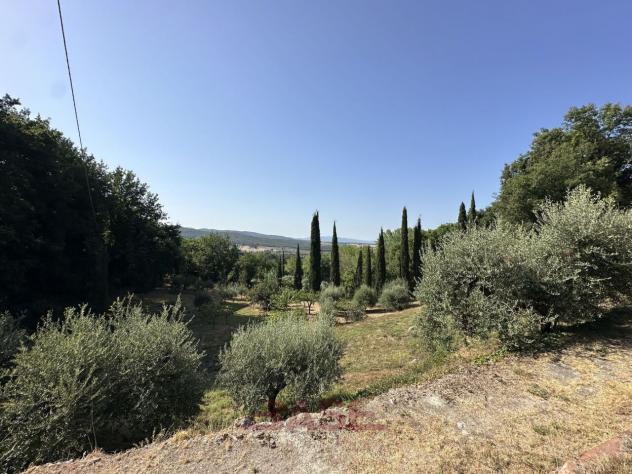 Terreno edificabile in vendita a Casale Marittimo - Foto 4