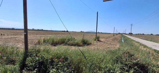Terreno agricolo in vendita a Grosseto 22000 mq Rif: 1407583 - Foto 2