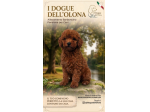 Cuccioli di Barboncino
