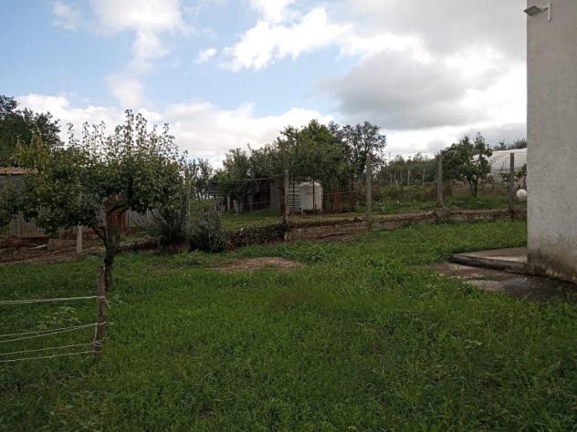 1975/MARZANO Villa su un solo livello di 180 mq con parco di mq 4.000 a Marzano Appio, lungo la S - Foto 7