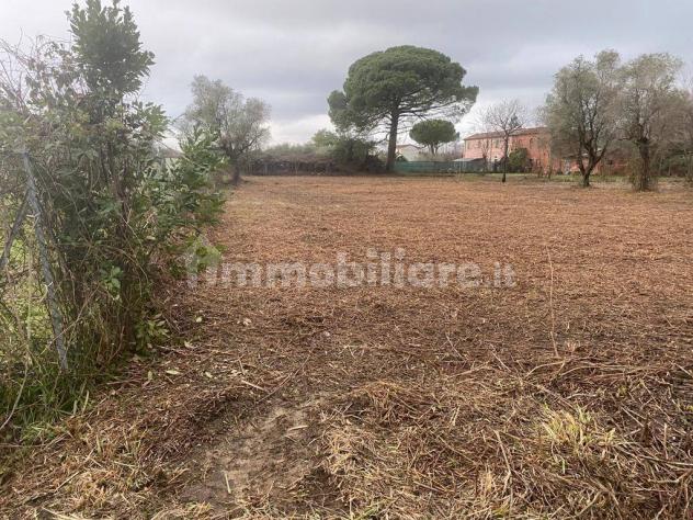 Casale in vendita a Castelnuovo Magra - Foto 19
