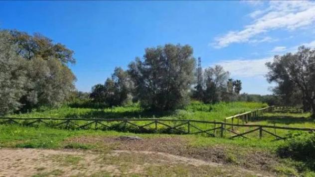 Immobile in asta di 1530 m² in vendita a Portigliola - Foto 3
