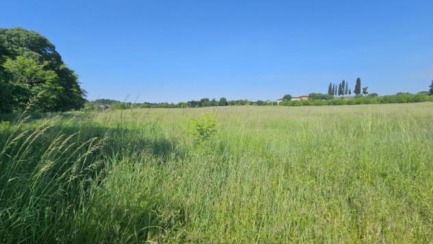 VOLTA MANTOVANA TERRENO AGRICOLO VICINO AL CENTRO - Foto 2