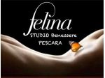 Massaggi - benessere Pescara - FELINA MASSAGGI BENESSERE Tel:3311958888