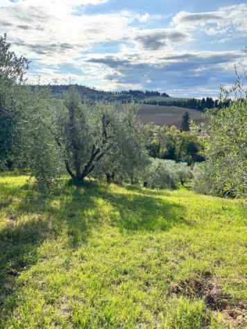 Terreno agricolo in vendita a Martignana - Empoli 5300 mq Rif: 1351258 - Foto 4