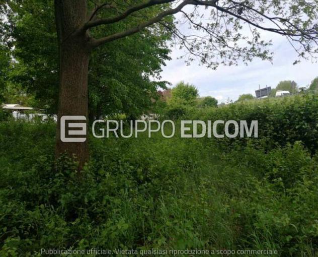 Terreno di 34378 mq in vendita a Treviso - Rif. 4550468 - Foto 2