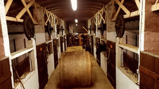 Pensione cavalli e lezioni d'equitazione - Foto 7